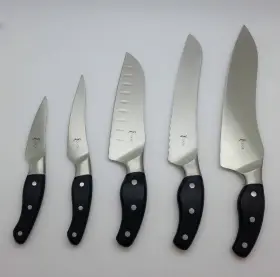 102709E AMWAY Icook Knifeware Set