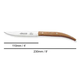 421002373787 ARCOS Steak Knife Nitrum Steel Serrated Meat Kni #2