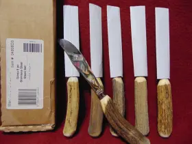 079061048085 BIRKS Ginsu Steak Knives Antler Handle