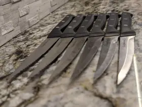 1161022 CALPHALON Classic Serrated Steak Knives Set Steel #2