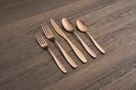 719978842641 CAMBRIDGE Silversmiths January Copper Flatware #2