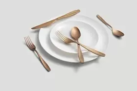719978842641 CAMBRIDGE Silversmiths January Copper Flatware #3