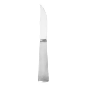 CAP2 CAPRI Frosted Flatware Hollow Handle Steak Knife