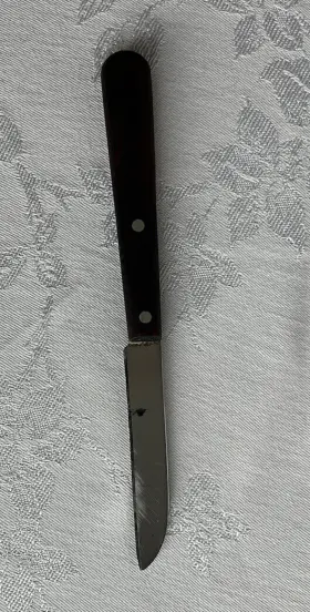 P221 VINTAGE Sheepfoot Paring Knife #3
