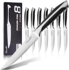 KN0102-8PC CIWETE Serrated Steak Knives Set