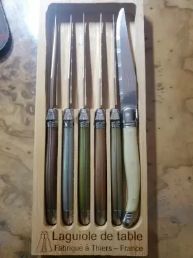 CC-831 CLERMONT COUTELLERIE Laguiole Tang Shiny Handles
