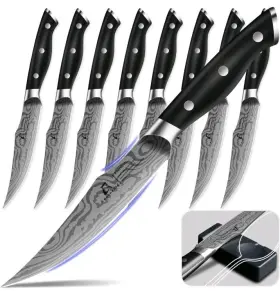 313053068072 COQUUSAID Steak Meat Knives Set Straight Edge