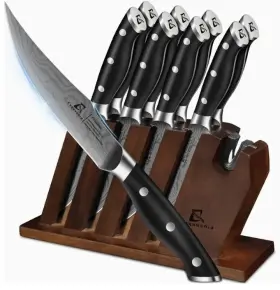 WV4202294 COQUUSAID Steak Knives Set Block Sharpener Serrated
