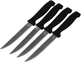 20979 SELECT Steak Knife Set Blade