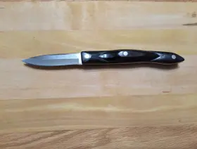 1720-JC CUTCO Straight Edge Paring Knife