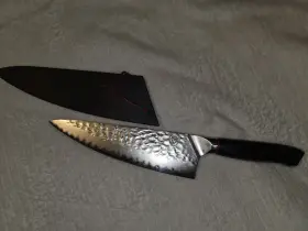 313103634653 DALSTRONG INC Chef Knife Blade Shogun Elite