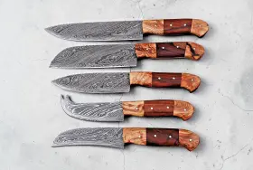 SR-06 DAMASCUS Forged Steel Chef Knife Set Kitchen Knives