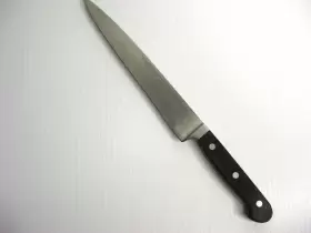 4522-20 ED WUSTHOF Classic Carving Slicing Knife Solingen #2