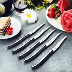 926228501614 FLYINGCOLORS Laguiole Steak Knife Set Steel #3