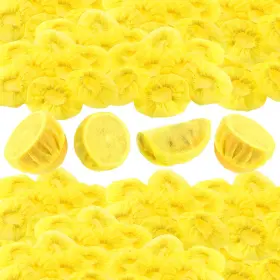 B0F43JP25B GULFMEW Lemon Wedge Stretch Wraps Covers Seed