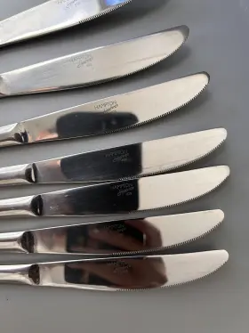 733652114596 HAMPTON SIGNATURE Steel Set Knives #2