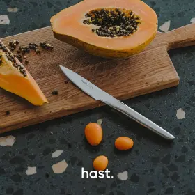 973559850218 HAST Paring Knife Kitchen Ultra Sharp Powder #2