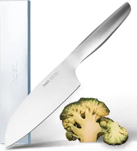 HSC006 HAST Santoku Knife Ultra Sharp Slicing Carbon
