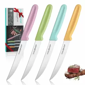 820909693123 HAUSHOF Steak Knives Set Serrated Steel