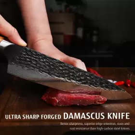 15314 HECEF Chef Knife High Carbon Damascus Steel #2