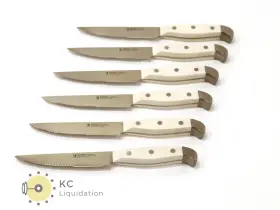 15269-120 HENCKELS Statement Steel Steak Knife