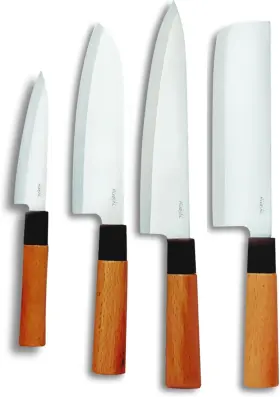 B015W9FHQA HIROSHI Sushi Sashimi Knife Set High Carbon Steel