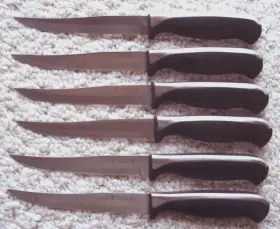 15528-120 J.A. HENCKELS INTERNATIONAL Everedge Steak Knives