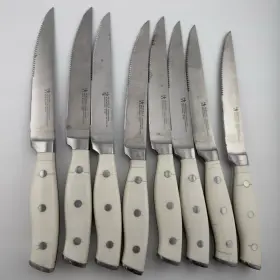19548-120 J.A. HENCKELS INTERNATIONAL Forged Accent Steak Abs
