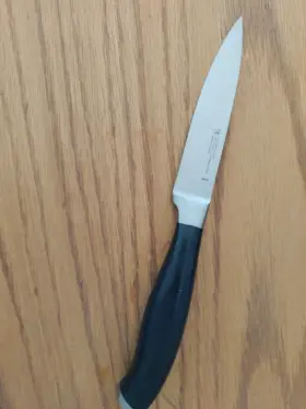 19770-100 J.A. HENCKELS INTERNATIONAL Elan Paring Knife Steel