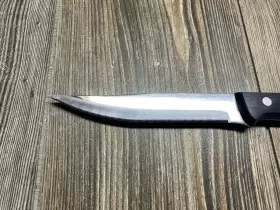 31359-120 J.A. HENCKELS INTERNATIONAL Ja Eversharp Pro Steak #2