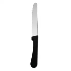 445007136179 ONEIDA Steak Knives Steel Seville Elite Set