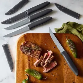 100750 PAMPERED CHEF Coated Serrated Steak Knife Set Safe