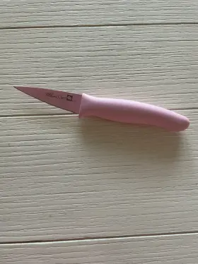 1261 PAMPERED CHEF Pink Coated Paring Knife Help Whip Cancer