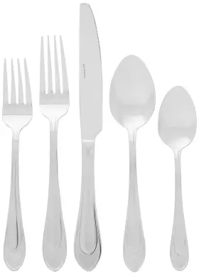 028225088955 PFALTZGRAFF Winston Frost Flatware Set Steel