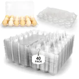 B0CD8BXYL9 PINTUSON Egg Cartons Chicken