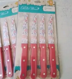 045908134259 PIONEER WOMAN Mazie Steak Knife Set