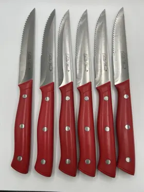 3014HZC PIONEER WOMAN Steak Knives Serrated Edges