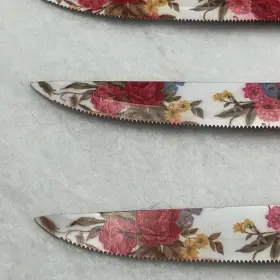 PWS2167543914025 PIONEER WOMAN Steak Knives Set Colorful #2
