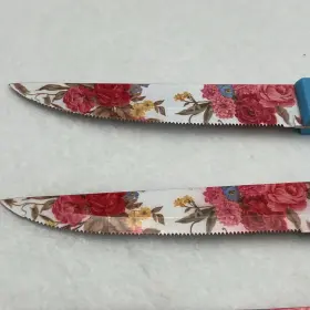 PWS2167543914025 PIONEER WOMAN Steak Knives Set Colorful #3