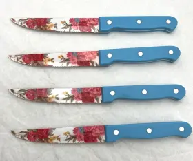 PWS2167543914025 PIONEER WOMAN Steak Knives Set Colorful