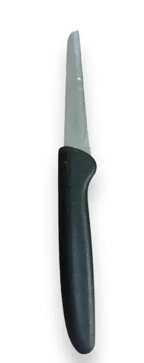 2480212 SABATIER Paring Knife #3