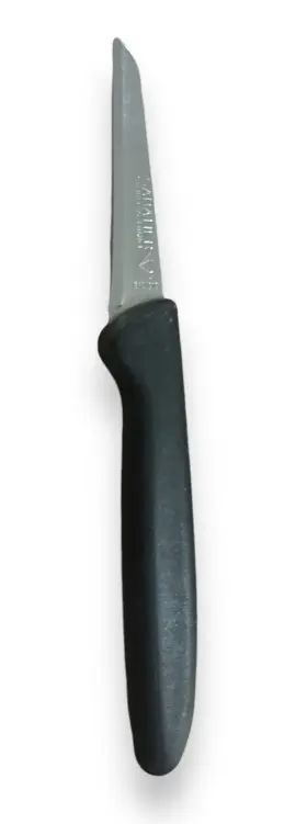 2480212 SABATIER Paring Knife