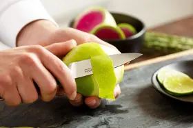 729910730165 SAKEN Paring Knife Kitchen Utility High Carbon #3