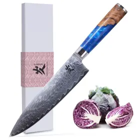 WW-SC-003 SAMCOOK Damascus Chef Knife Sharp Gyuto Japanes