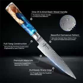 655469793194 SENKEN KNIVES Damascus Steak Knife Set Tsunami #2
