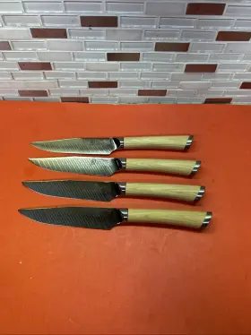 HDM0711 SHUN Hikari Steak Knife Set
