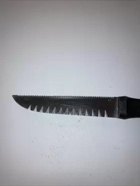 14116 SOLINGEN Gerber Paring Knife West Forschner Eisgehartet #3