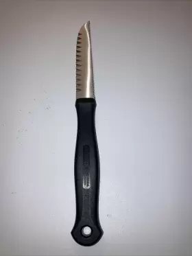 14116 SOLINGEN Gerber Paring Knife West Forschner Eisgehartet