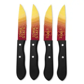 771831018525 SPORTSVAULT Sports Vault Ncaa Iowa Cyclones