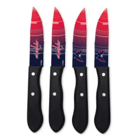 771831101296 SPORTSVAULT Sports Vault Nhl Capitals Steak